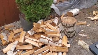 Bob chopping wood