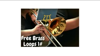 FREE Loop Kit / FREE Sample Pack - Brass Loops 1# (Brass Loop Kit/Sample Pack)