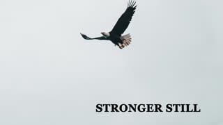 Pray USA, 1/12/23 Stronger Still