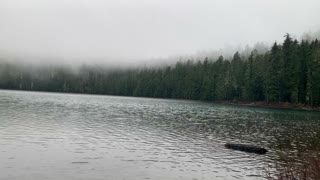 Foggy Forest Lake – Mount Hood National Forest – Oregon – 4K