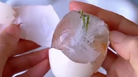 Amazing Idea 💡💡💡 To make a wasted egg