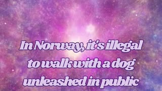 Strange Laws Around the World! 😱