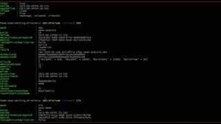 SolidFire Volume Clone Demo