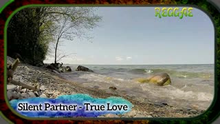 Silent Partner True Love REGGAE NC #ncs #reggae #nocopyrights #audiobug71