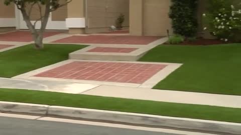 Californians give drought-ridden brown lawns a Hollywood makeover