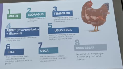 P06 Faktor Mempengaruhi Pertumbuhan Cepat Ternakan Ayam, Mardi Serdang 31 Jul 2024