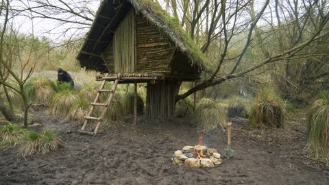 Building wood survival shelter in wildlands | Bushcraft & Campfire grilled meat