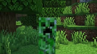 Minecraft When you DON'T fill the Creeper Holes...