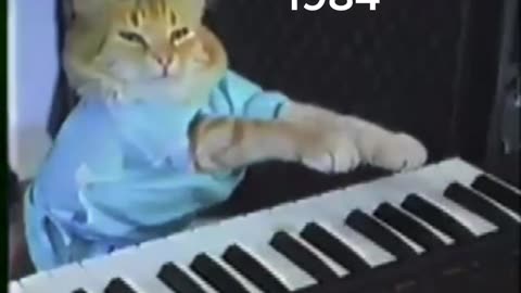 Keyboard cat then VS now ( RIP BENTO )