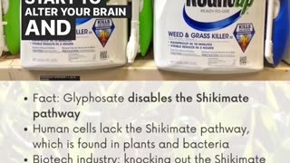 LET'S TALK ABOUT ROUNDUP & HOW DANGEROUS IT IS‼️‼️