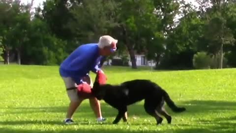 How To Make Dog Become Fully Aggressive With Few Simple Tips