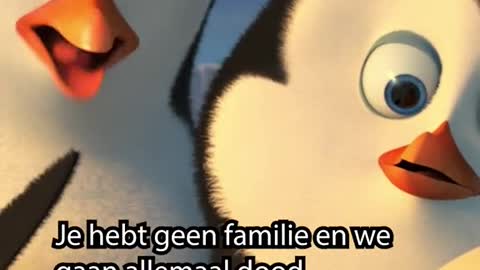 Praat niet zo tegen de SCHATTIGSTE pinguïn ooit