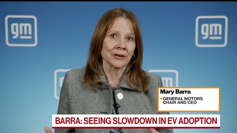 GM CEO Sees Slowdown in EV Adoption