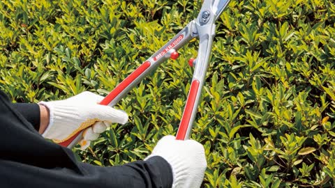 Best 5 Hedge Shears ( Top 5 Hedge Shears )