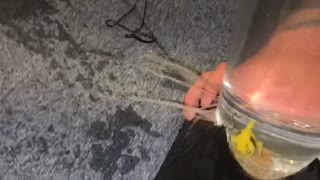 Aquarium Leak Spills Everywhere