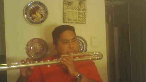 The Sound of Silence : Paul Simon (Bass flute cover)