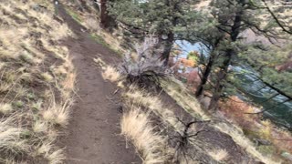 Central Oregon – Steelhead Falls – Taking Side Trail towards Shoreline – 4K