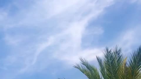 Short Video | blue sky| nature|pakistan