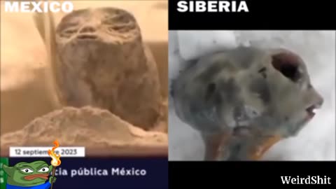 THE BODIES PRESENTED IN THE UP HEARINGS IN MEXICO ARE SIMILAR TO THE BODY FOUND IN SIBERIA