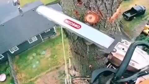 It's really cool with a chainsaw, cool!!!