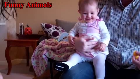 Italian Greyhound Dog Play With Baby videos - Dog Loves Baby - Funny Dogs Compilation