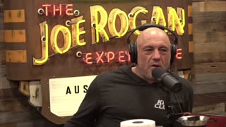 Joe Rogan 🔴 Illegal Immigrants in NYC Brothels!