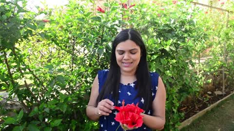 How to make Hibiscus Tea