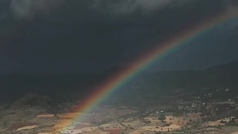 Radiant Rainbow Delight 🌈✨