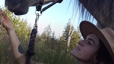 Woman Patiently Gains Trust from Rescue Horse - MISA | The Dodo