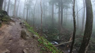 Hiking the Smoky's