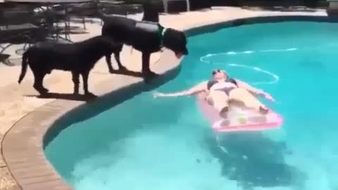 Splashing with your dog