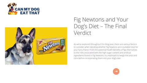 Can Dogs Have Fig Newtons - Can My Dog Eat That