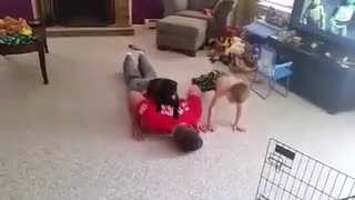 Dog Helps Her Dad With His Work-Out Routine