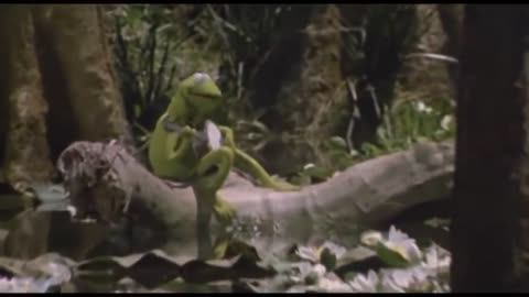 Rainbow Connection by Kermit the Frog from The Muppet Movie