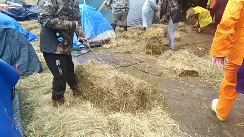 This Time Two Years Ago: Laying Hay on Waterlogged Parliament Grounds During Cyclone Dovi