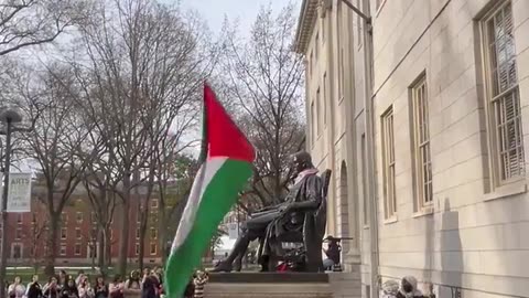 USA: 'Harvard University Protesters Replace US Flag With Palestinian One!