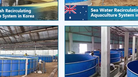 RAS Recirculating Aquaculture System Project Indoor Fish Farm by eWater