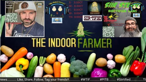 The Indoor Farmer Reviews #28! Reviewing the Pekin Small Business Festival!