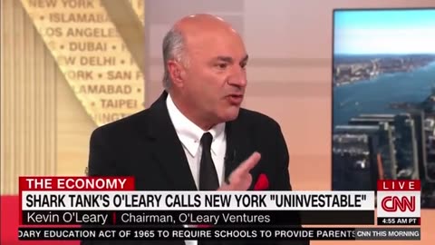 Kevin O’Leary, from Shark Tank, calls out the insanity of the Democrats.