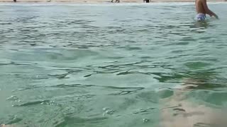 Curtindo uma tarde na praia de Quatro Ilhas, Bombinhas - SC | Som Ambiente