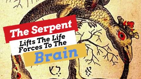 THE SERPENT LIFTS THE LIFE FORCES TO THE BRAIN