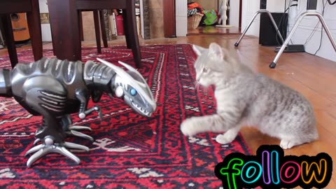 Cats smart and dinosaur controler