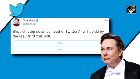Should I resign as CEO of Twitter? New survey from Elon Musk stuns Twitter users