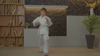 Japanese Martial Arts Legacy