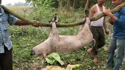 Village cooking in India | Hunting and eating animal