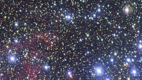GC 3590: Exploring the Colorful Diversity of Stars in a Young Open Star Cluster