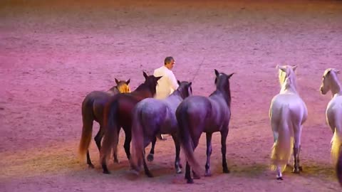 Jean-François Pignon. London International Horse Show 2015