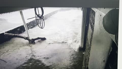 Live Bomb Cyclone Flooding on Lake Erie - Wave Seiche - Buffalo, NY