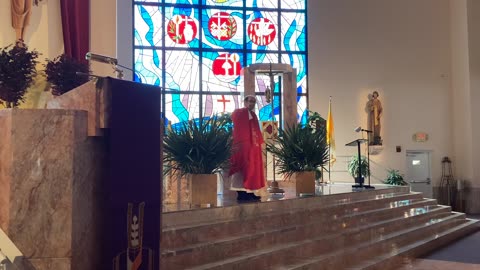 Father Martin Dunne Homily Palm Sunday March 24, 2024