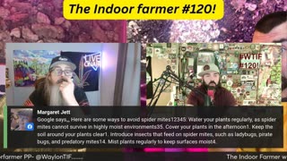 The Indoor Farmer #120! Did The Predator Mites Work?